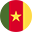 Cameroon flag