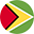 Guyana flag