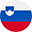 Slovenia flag