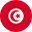 Tunisia flag