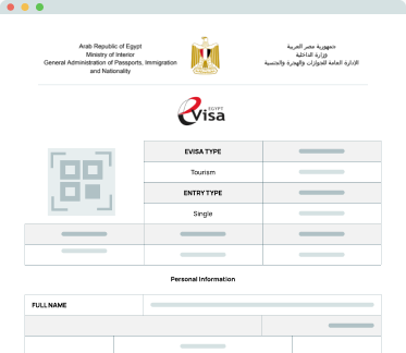 Preview of an Egypt eVisa