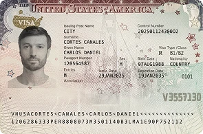 Preview of a US ESTA