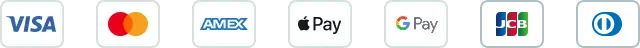Icons for Visa, Mastercard, American Express, Apple Pay, Google Pay, JCB, and Diners Club: all accepted by iVisa